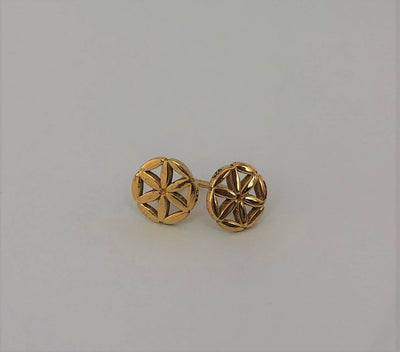 Magdala Logo Brooch earrings plated Gold